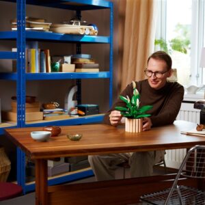 Konstruktorius LEGO® Botanicals 11504 - Image 3