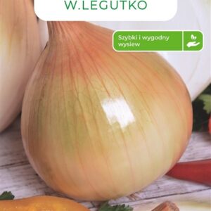 Sėklos, svogūnai AILSA CRAIG, 150 vnt.