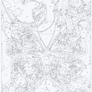 Tapymas pagal skaičius Butterfly 80909 - Image 3