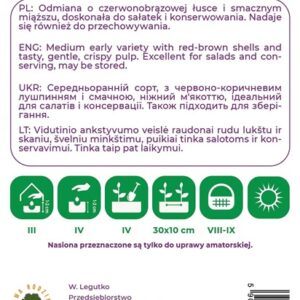 Sėklos, svogūnai KARMEN, 5 g - Image 2