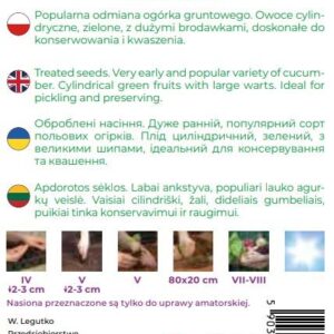 Sėklos, agurkai SREMSKI F1, 2 g - Image 2