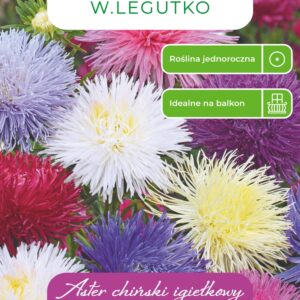 Sėklos astras NEEDLE MIX, 1.25 g