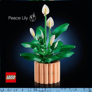 Konstruktorius LEGO® Botanicals 11504