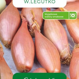 Sėklos, svogūnai ZEBRUNE, 3 g