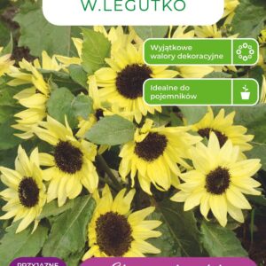 Sėklos saulėgrąža PIXIE LEMON, 2 g