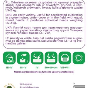 Sėklos, kopūstai DITRIMARSKA NAJWCZESNIEJSZA, 2 g - Image 2