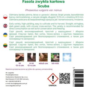 Sėklos, pupelės, 30 g - Image 2