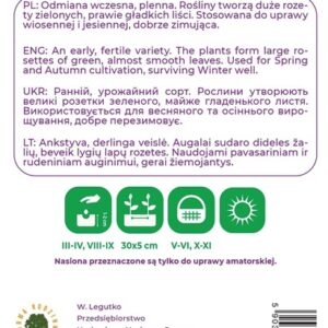 Sėklos, špinatai ASTA F1, 10 g - Image 2