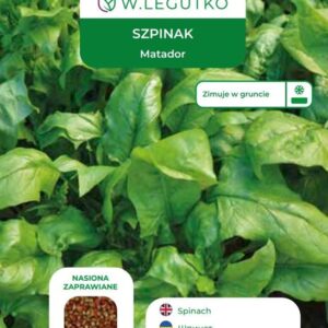 Sėklos, špinatai MATADOR, 20 g