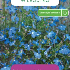 Sėklos lobelija BLUE, 0.2 g