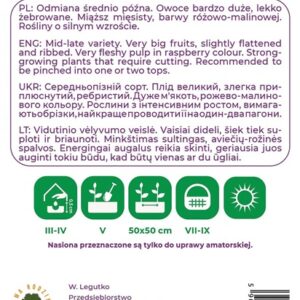 Sėklos, pomidorai MALINOWY OLBRZYM, 1 g - Image 2