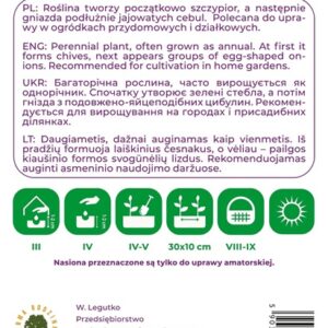 Sėklos, svogūnai ZEBRUNE, 3 g - Image 2