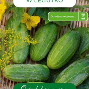 Sėklos, agurkai RACIBOR F1, 5 g