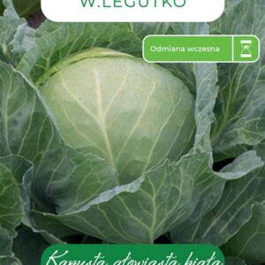 Sėklos, kopūstai DITRIMARSKA NAJWCZESNIEJSZA, 2 g - Image 1