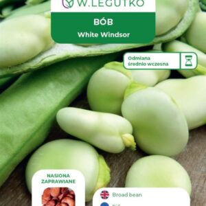 Sėklos, pupos WHITE WINDSOR, 50 g