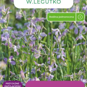 Sėklos leukonija PINK VIOLET, 5 g