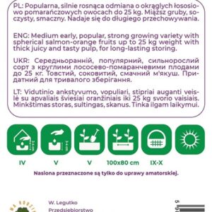 Sėklos, moliūgai PINK ORANGE, 3 g - Image 2