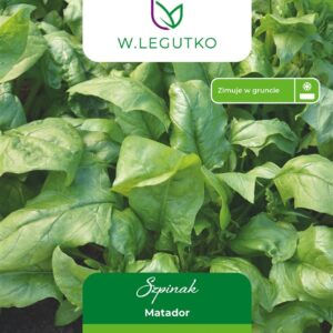 Sėklos, špinatai MATADOR, 20 g