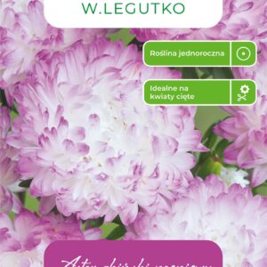 Sėklos astras PINK WHITE, 1 g