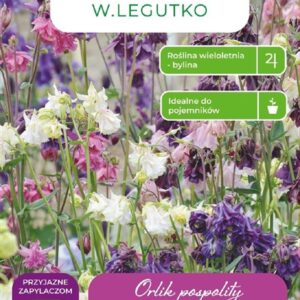 Sėklos sinavadai MIX, 0.3 g