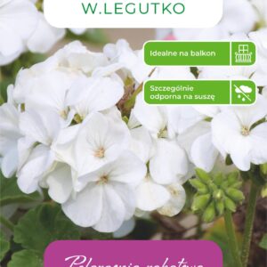 Sėklos pelargonija GAMA F1, 0.05 g