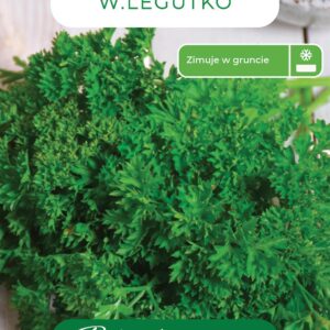 Sėklos petražolės MOSS CURLED 2, 5 vnt.