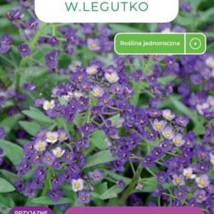 Sėklos lobuliarija VIOLET, 0.5 g