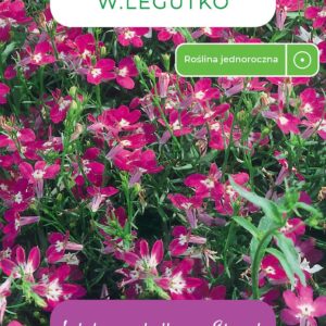 Sėklos lobelija RED, 0.1 g