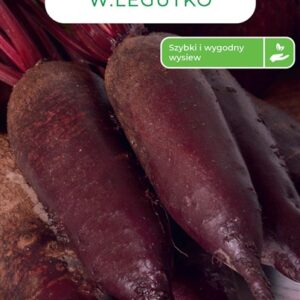 Sėklos, burokėliai CYLINDRA, 150 vnt.