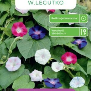 Sėklos ipomėja MIX, 2 g