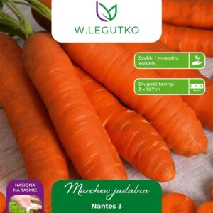 Sėklos, morkos NANTES 3, 5 m