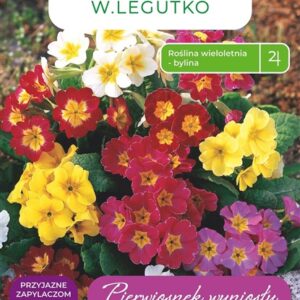 Sėklos raktažolė MIX, 0.3 g