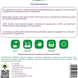 Sėklos, agurkai POLAN F1, 5 m - Image 2