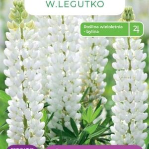 Sėklos lubinas WHITE, 2 g - Image 1