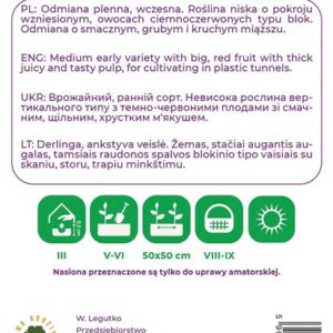 Sėklos, paprikos ROBERTINA, 0.5 g - Image 2