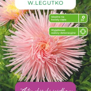 Sėklos astras SALMON, 1 g