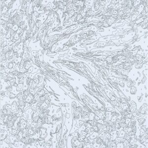 Tapymas pagal skaičius 80915 - Image 3