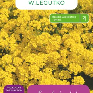 Sėklos aurinijos YELLOW, 0.5 g