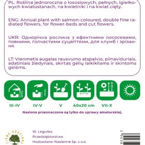 Sėklos astras SALMON, 1 g - Image 2