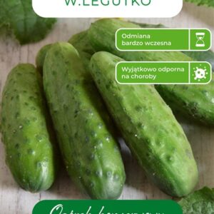 Sėklos, agurkai KRAK F1, 5 g