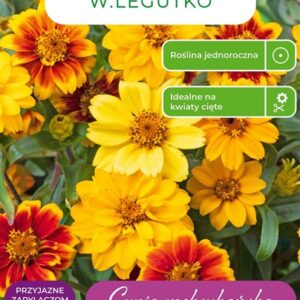 Sėklos gvaizdūnė MIX, 0.5 g