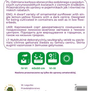 Sėklos saulėgrąža PIXIE LEMON, 2 g - Image 2