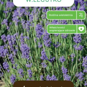 Sėklos levandos, 0.2 g