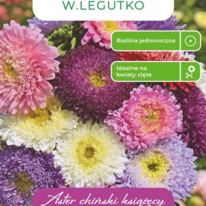 Sėklos astras PRINCESS MIX, 1.25 g