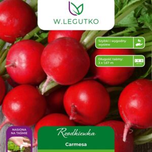 Sėklos, ridikėliai CARMESA, 5 m - Image 1