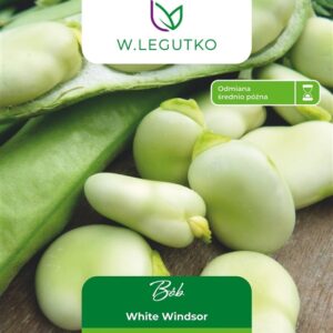 Sėklos, pupos WHITE WINDSOR, 50 g