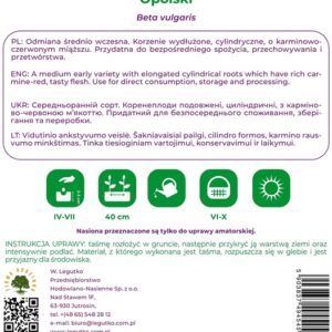 Sėklos, burokėliai OPOLSKI, 5 m - Image 2