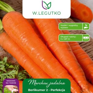 Sėklos, morkos BERLIKUMER 2, 5 m