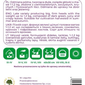 Sėklos, salotos GREAT LAKES 118, 1 g - Image 2