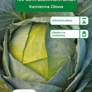 Sėklos, kopūstai KAMIENNA GLOWA, 2 g - Image 1